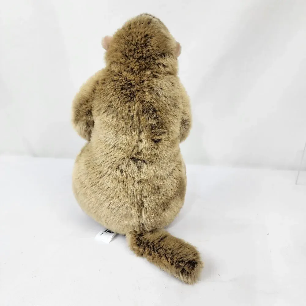 Wildlife Artists Realistic Marmot Groundhog Woodchuck 10